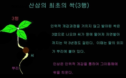 e11c1a84d2ce7abf36f915998ce93e17_1550033940_19.jpg e11c1a84d2ce7abf36f915998ce93e17_1550033