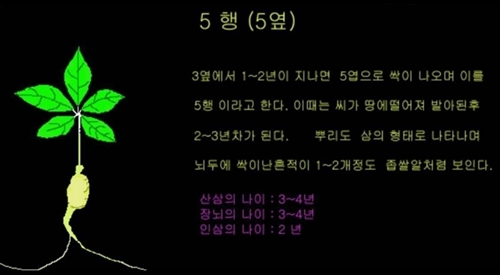 e11c1a84d2ce7abf36f915998ce93e17_1550035476_53.jpg e11c1a84d2ce7abf36f915998ce93e17_1550035