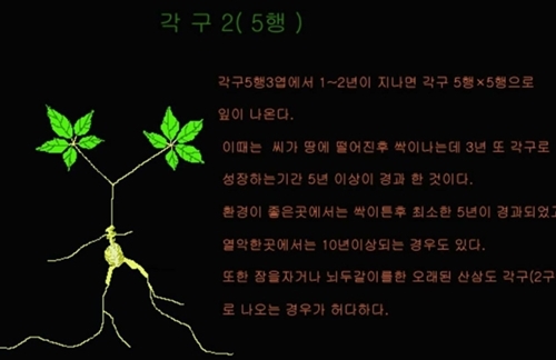 e11c1a84d2ce7abf36f915998ce93e17_1550035958_42.jpg e11c1a84d2ce7abf36f915998ce93e17_1550035
