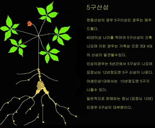 e11c1a84d2ce7abf36f915998ce93e17_1550036029_08.jpg e11c1a84d2ce7abf36f915998ce93e17_1550036