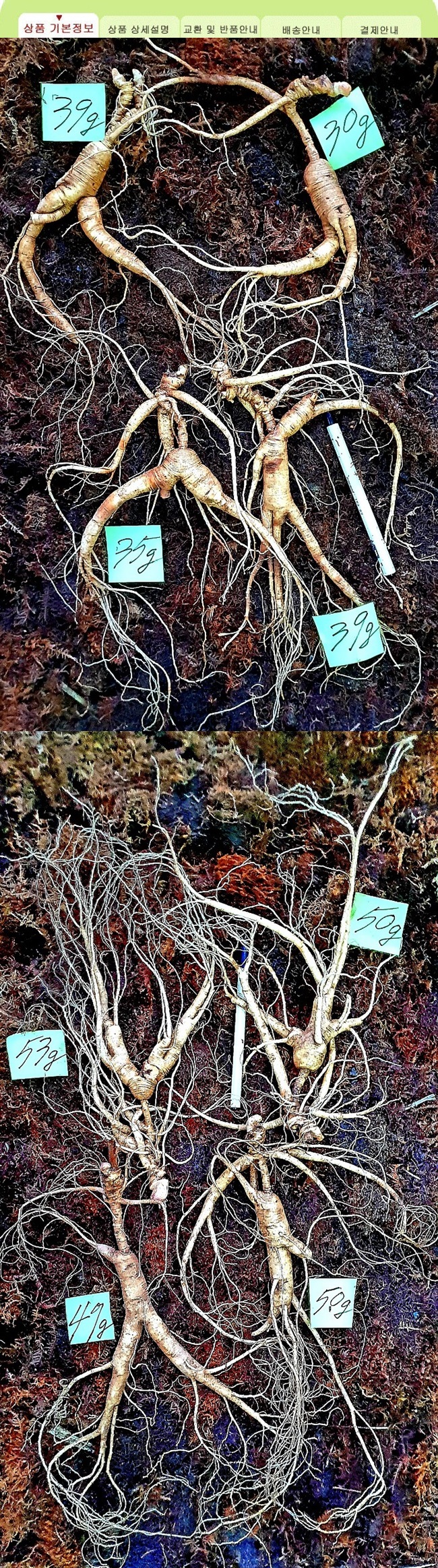 9738ceac4e50a6b44413c5e181e82f94_1552830889_89.jpg